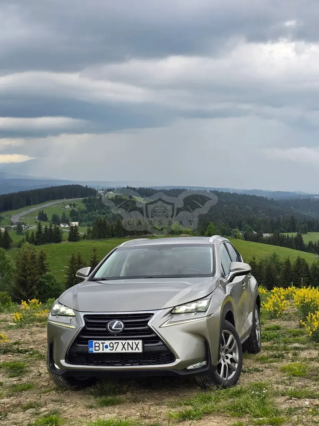 Lexus NX I [2014 - 2021] 300 AWD 2014