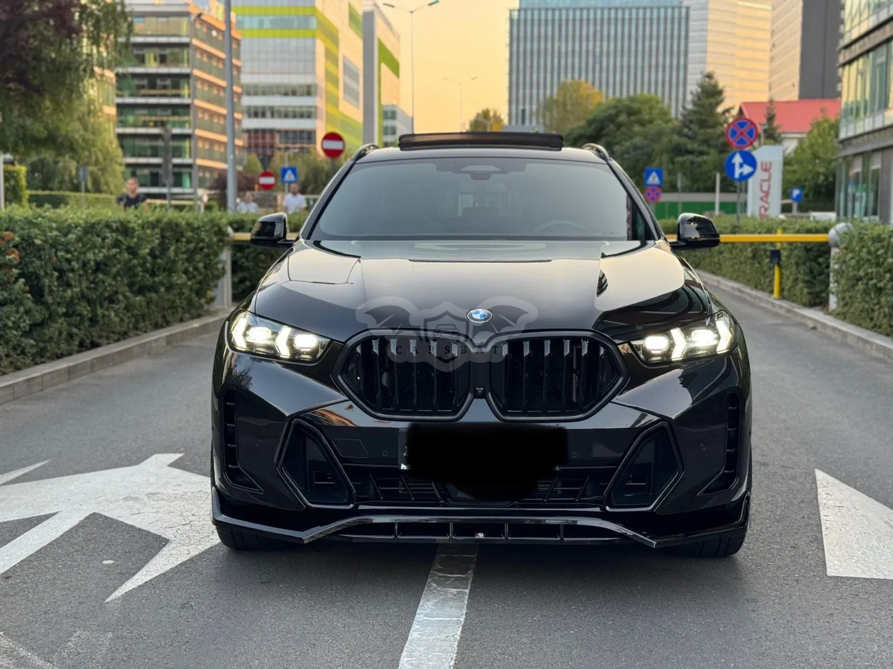 BMW X6 G06 [2019 - Prezent] 2024