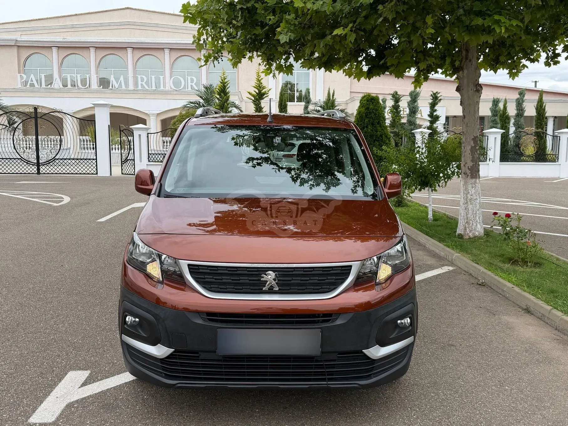 Peugeot Rifter 2019