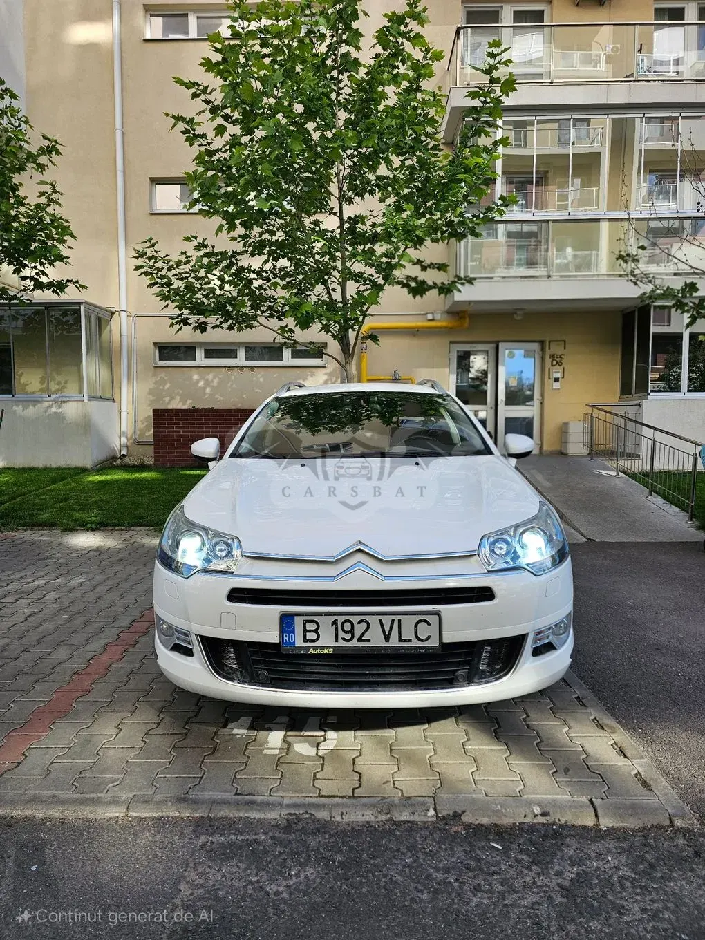 Citroën C5 II [2008 - 2017] 2.0 HDi FAP Susp M Seduction 2009