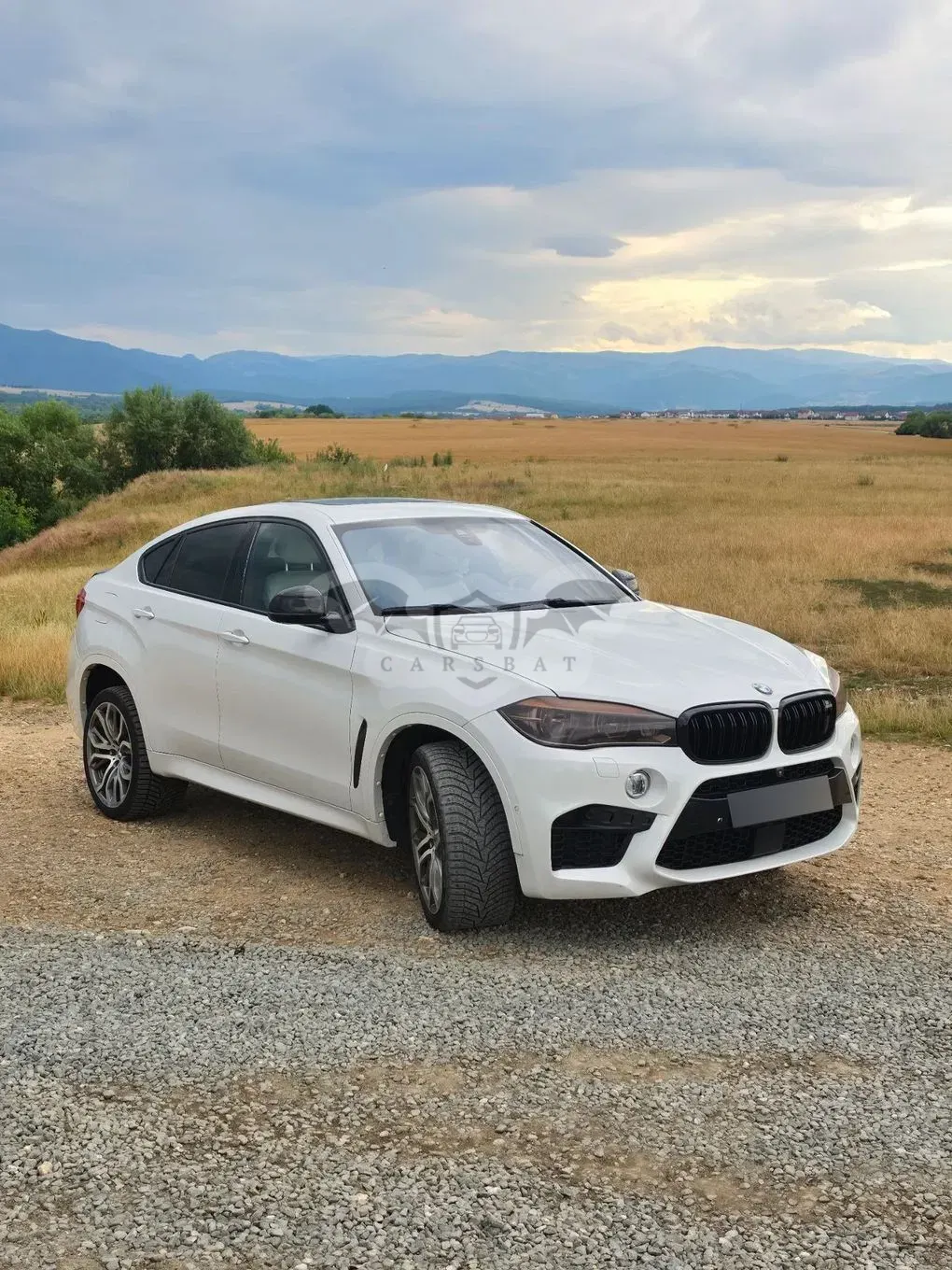 BMW X6 F86 [2015 - 2018] M50d 2015