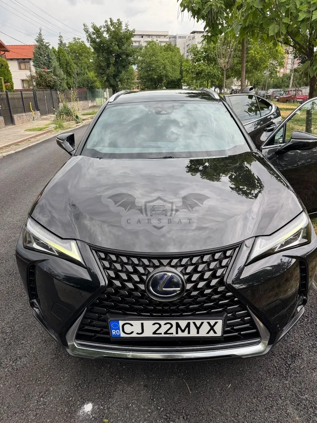 Lexus UX 250h Business Edition 2019