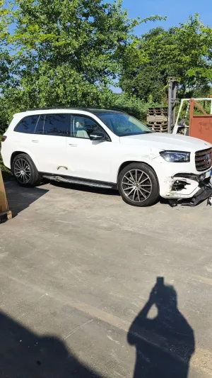 Mercedes-Benz GLS X167 [2019 - Prezent] 450 d 4MATIC MHEV 2025
