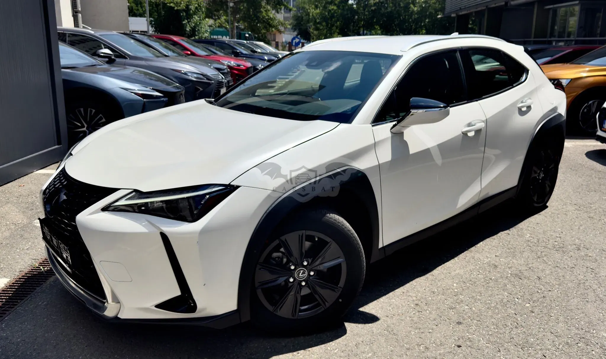 Lexus UX 250h Amazing Edition 2023