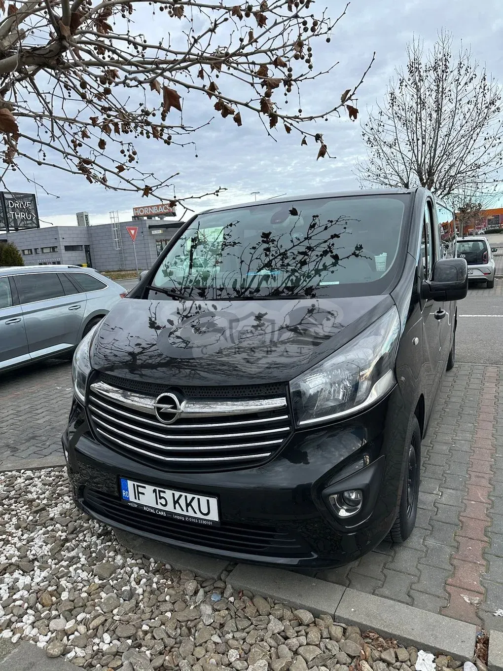 Opel Vivaro Combi L2H1 2.9 t Start/Stop 2015