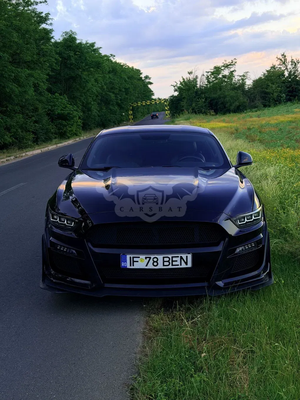 Ford Mustang 2.3 EcoBoost Aut. 2017
