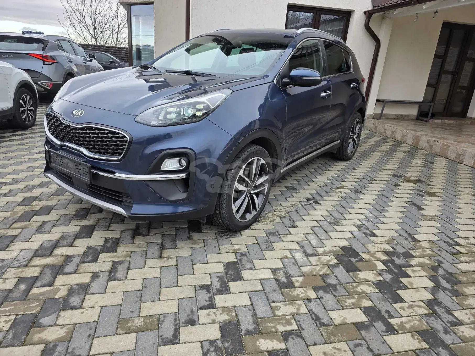 Kia Sportage 1.6 CRDI AWD Eco-Dynamics+ (48V M-H) DCT Vision 2021