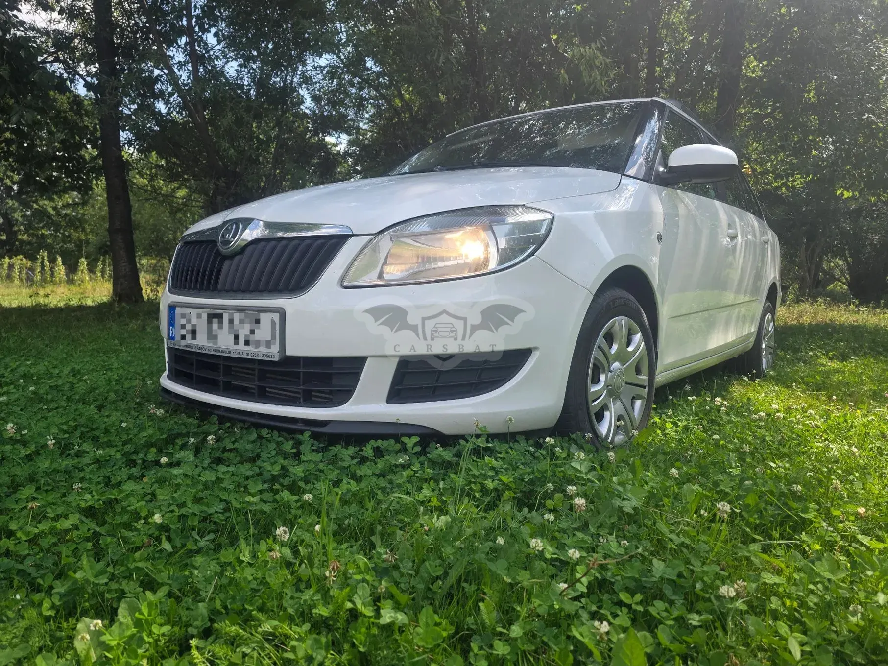 Skoda Fabia II [2007 - 2014] 2013