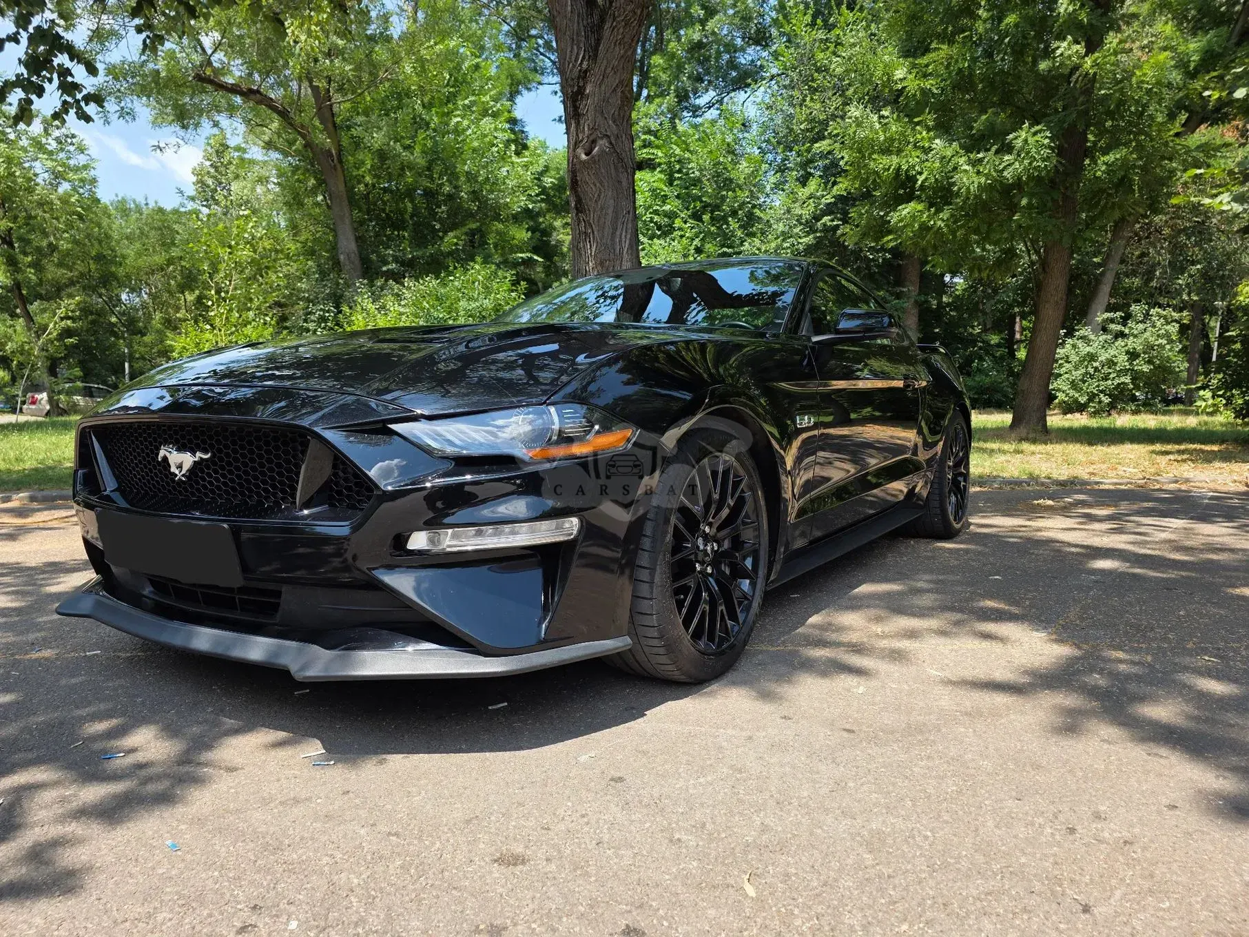 Ford Mustang VI [2015 - Prezent] 5.0 Ti-VCT V8 Aut. GT 2018