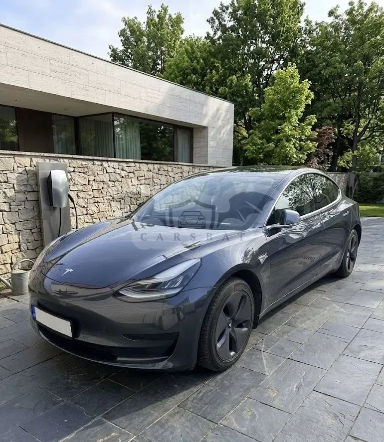 Tesla Model 3 2019