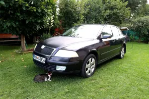 Skoda Octavia II [2004 - 2013] 1.9 TDI Classic 2008