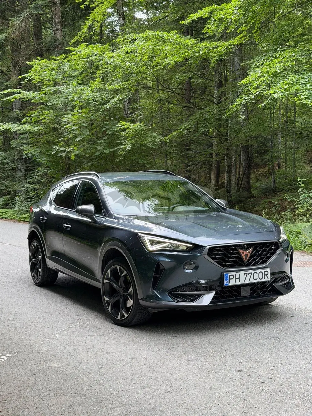 Cupra Formentor 2.0 TDI 4DRIVE 2023