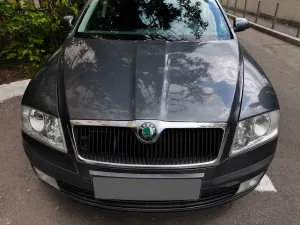 Skoda Octavia II [2004 - 2013] 1.6 MPI Ambiente 2008