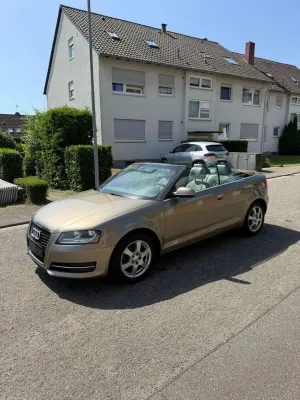 Audi A3 8P [2003 - 2013] 1.4 TFSI S line Sportpaket 2013