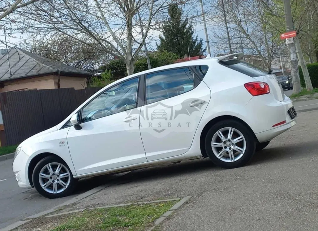 Seat Ibiza 2010
