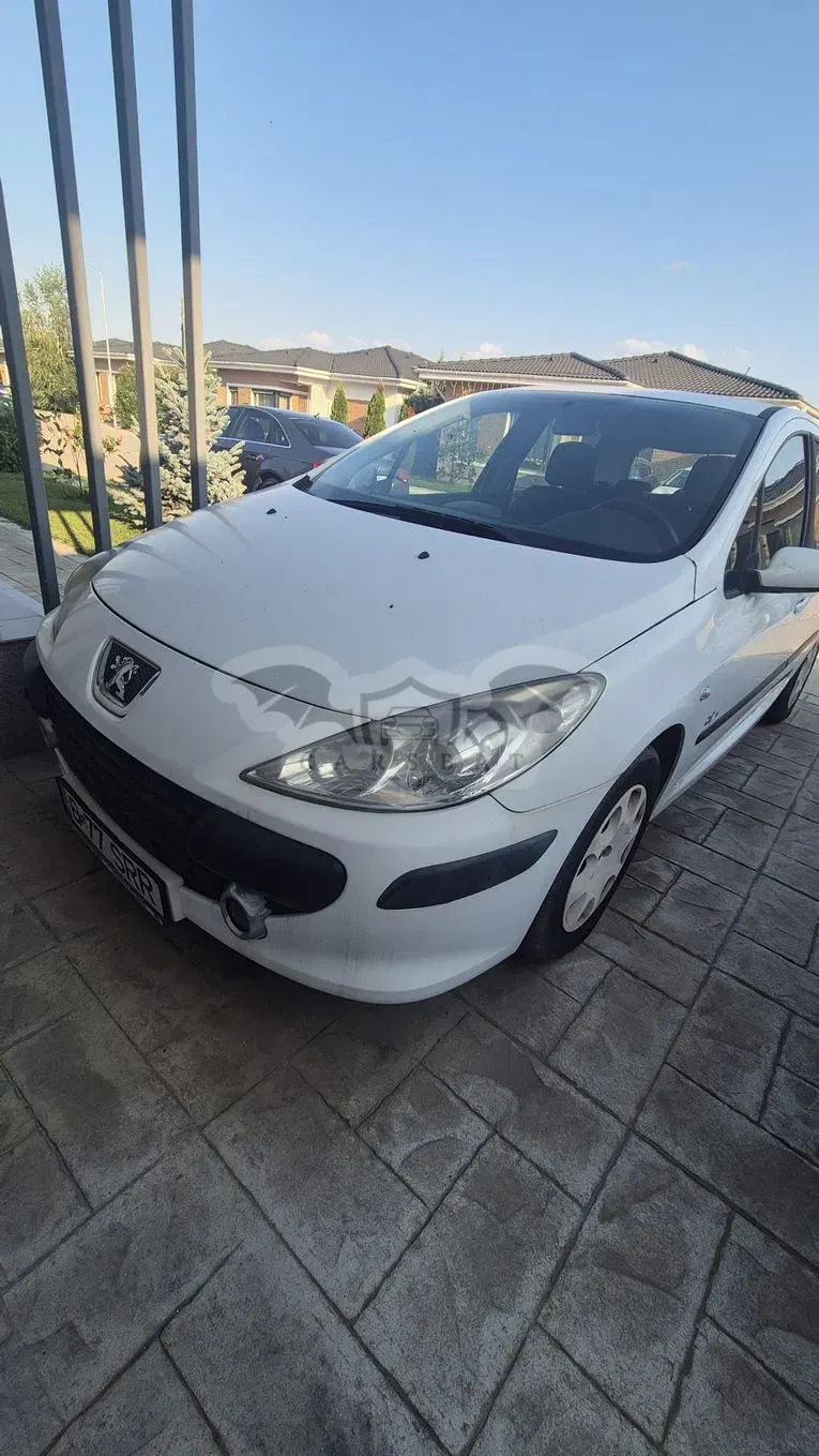 Peugeot 307 1.4 XR 2006