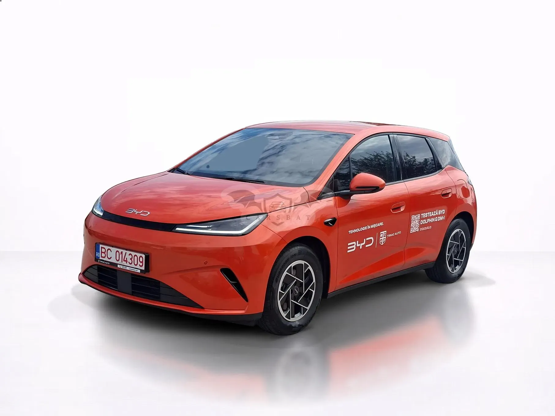 Byd Dolphin g 2026