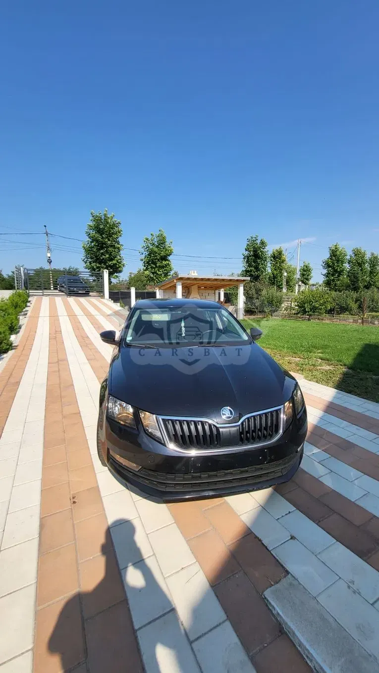 Skoda Octavia III [2013 - 2019] 2019