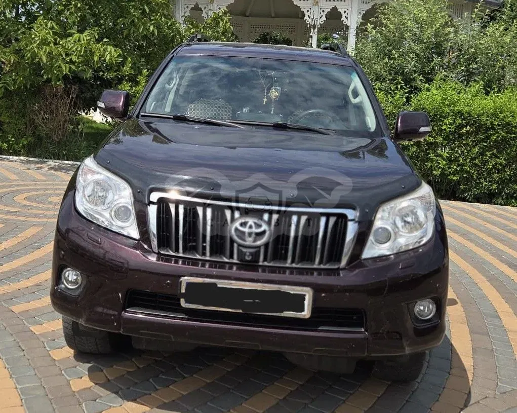 Toyota Land Cruiser 2010