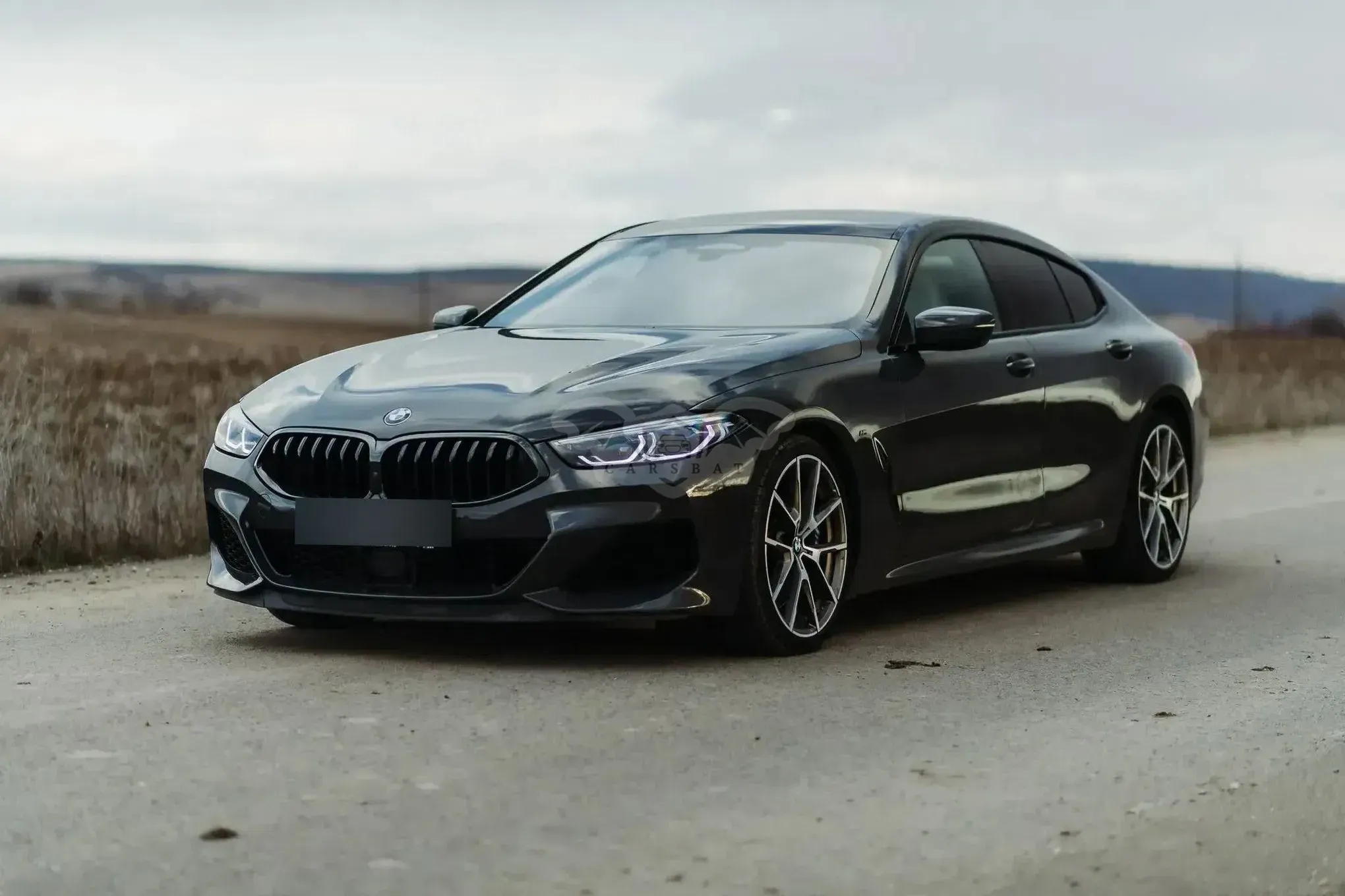 BMW M8 2019