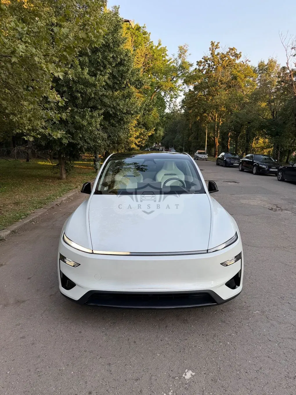 Tesla Model Y Performance 2025