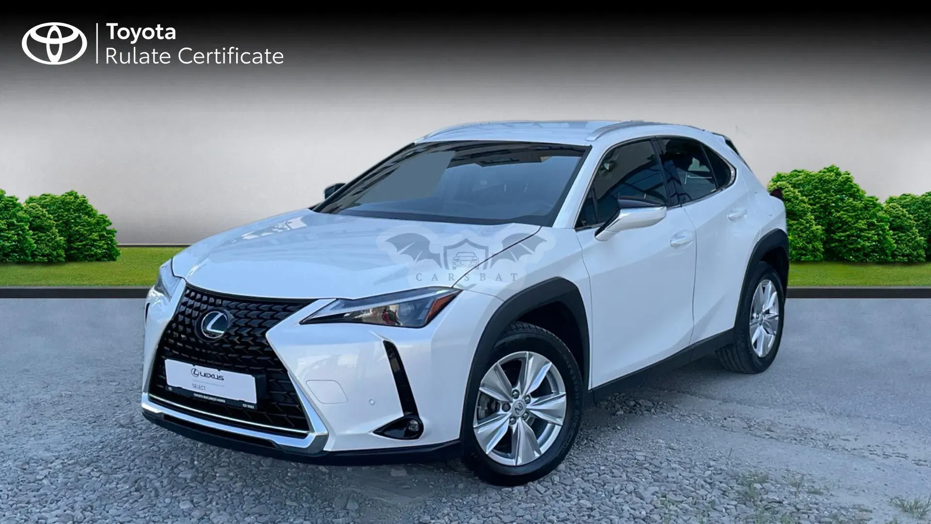 Lexus UX 250h Business Edition 2023
