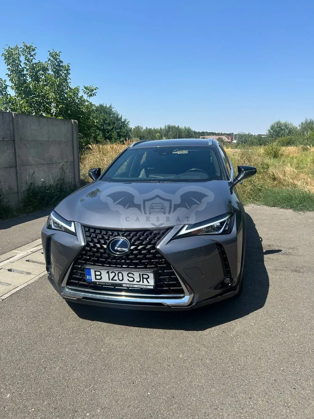 Lexus UX 250h FWD Business 2019