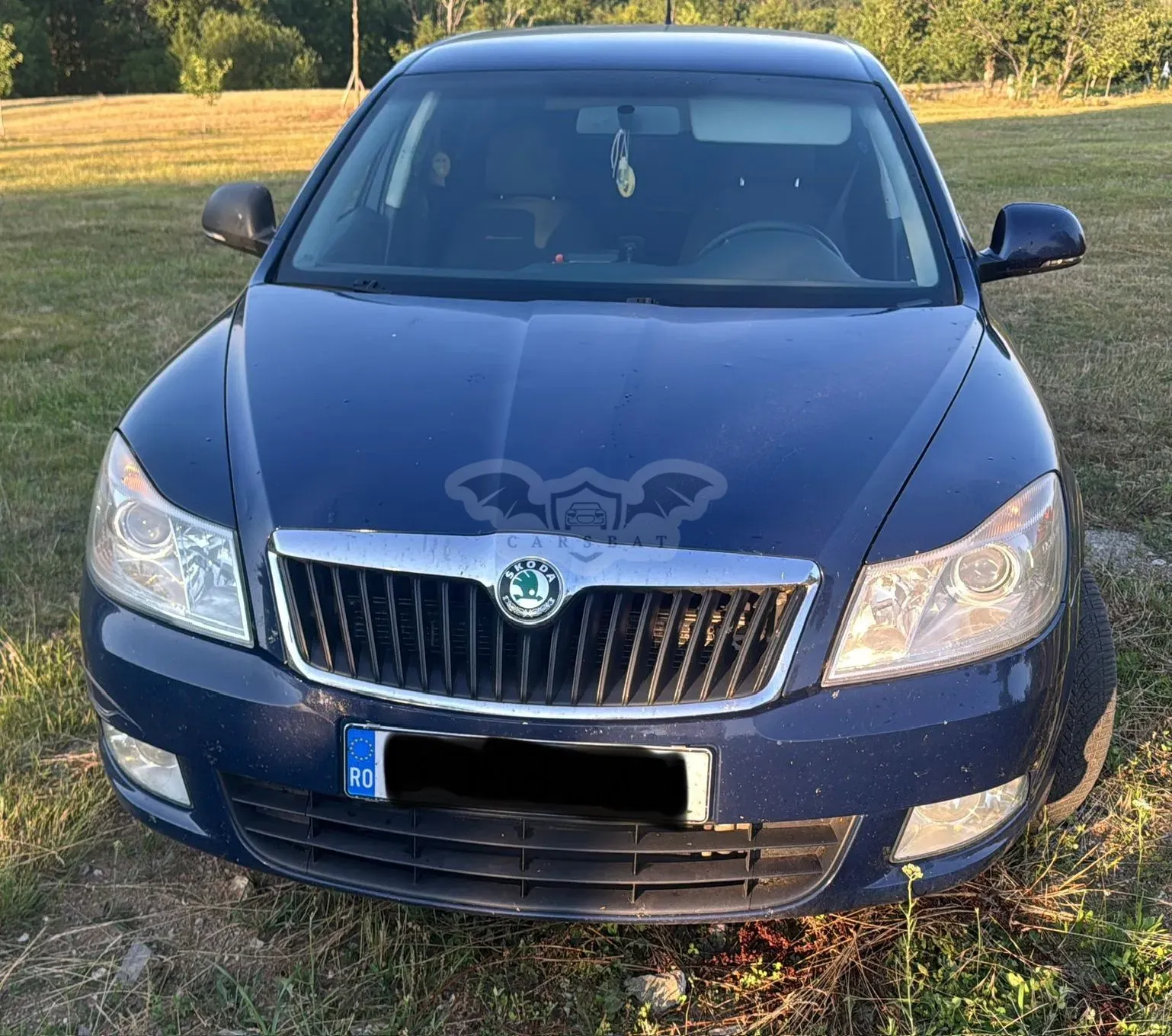 Skoda Octavia III [2013 - 2019] 1.6 TDI DPF Active 2013