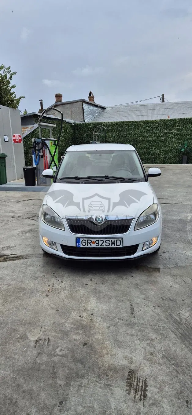 Skoda Fabia II [2007 - 2014] 1.6 TDI 2012