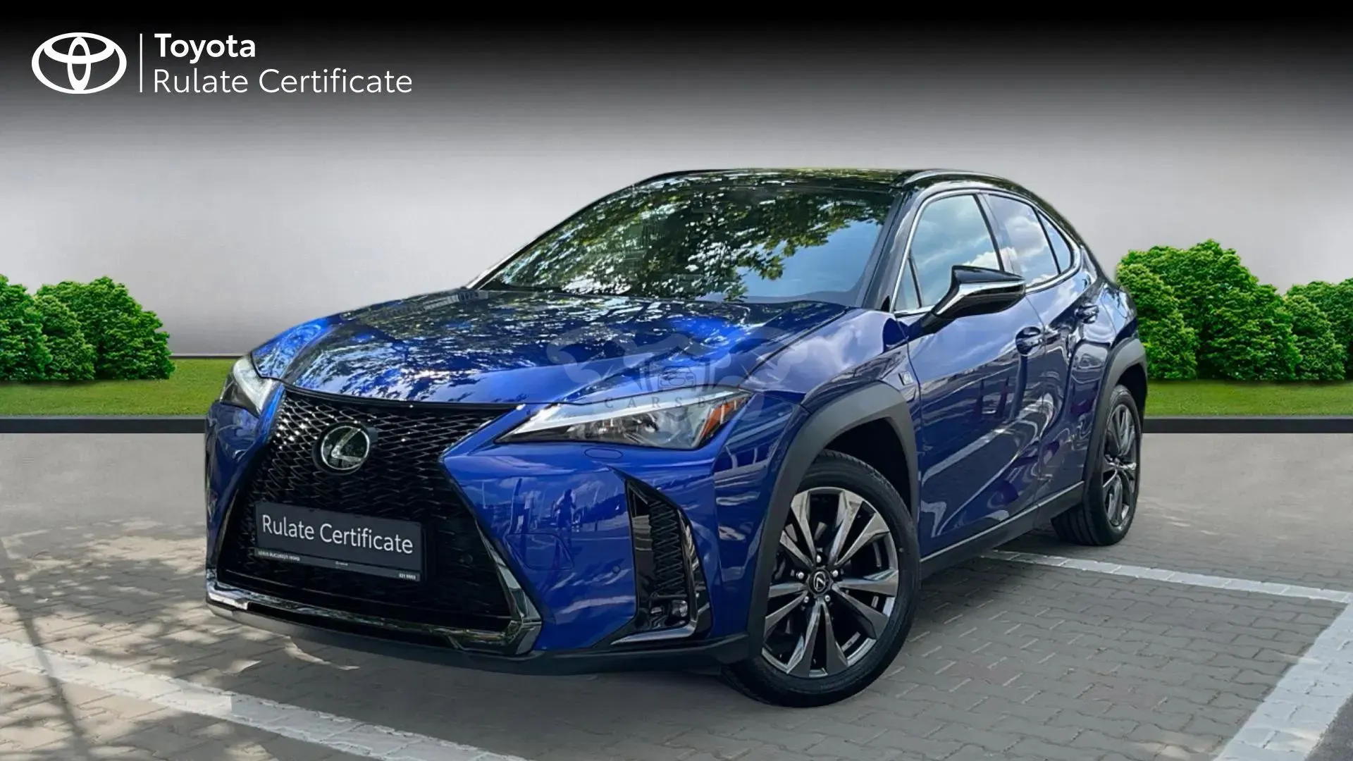 Lexus UX 300h AWD CVT HEV Business 2025