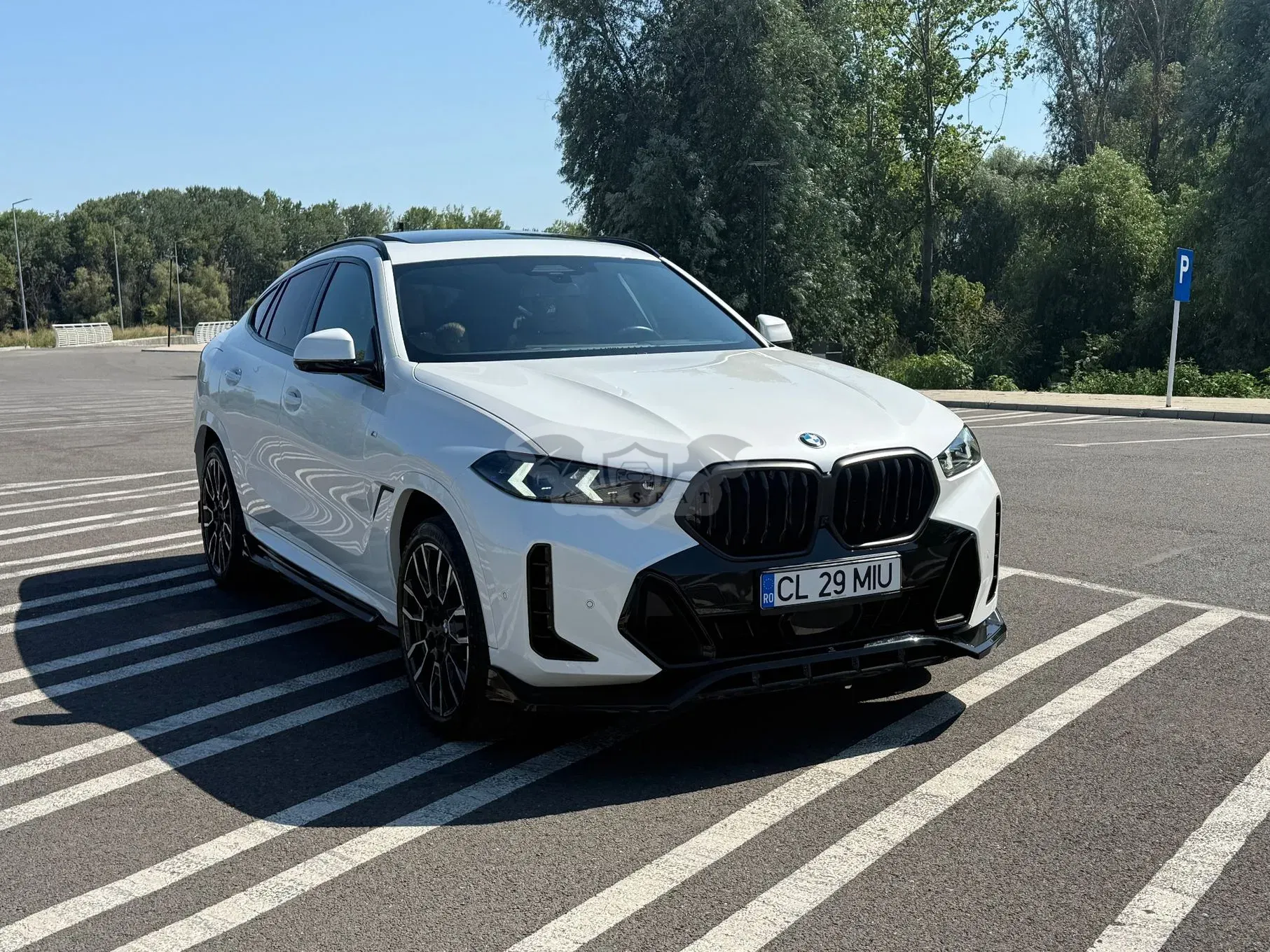 BMW X6 G06 [2019 - Prezent] xDrive30d AT MHEV 2024