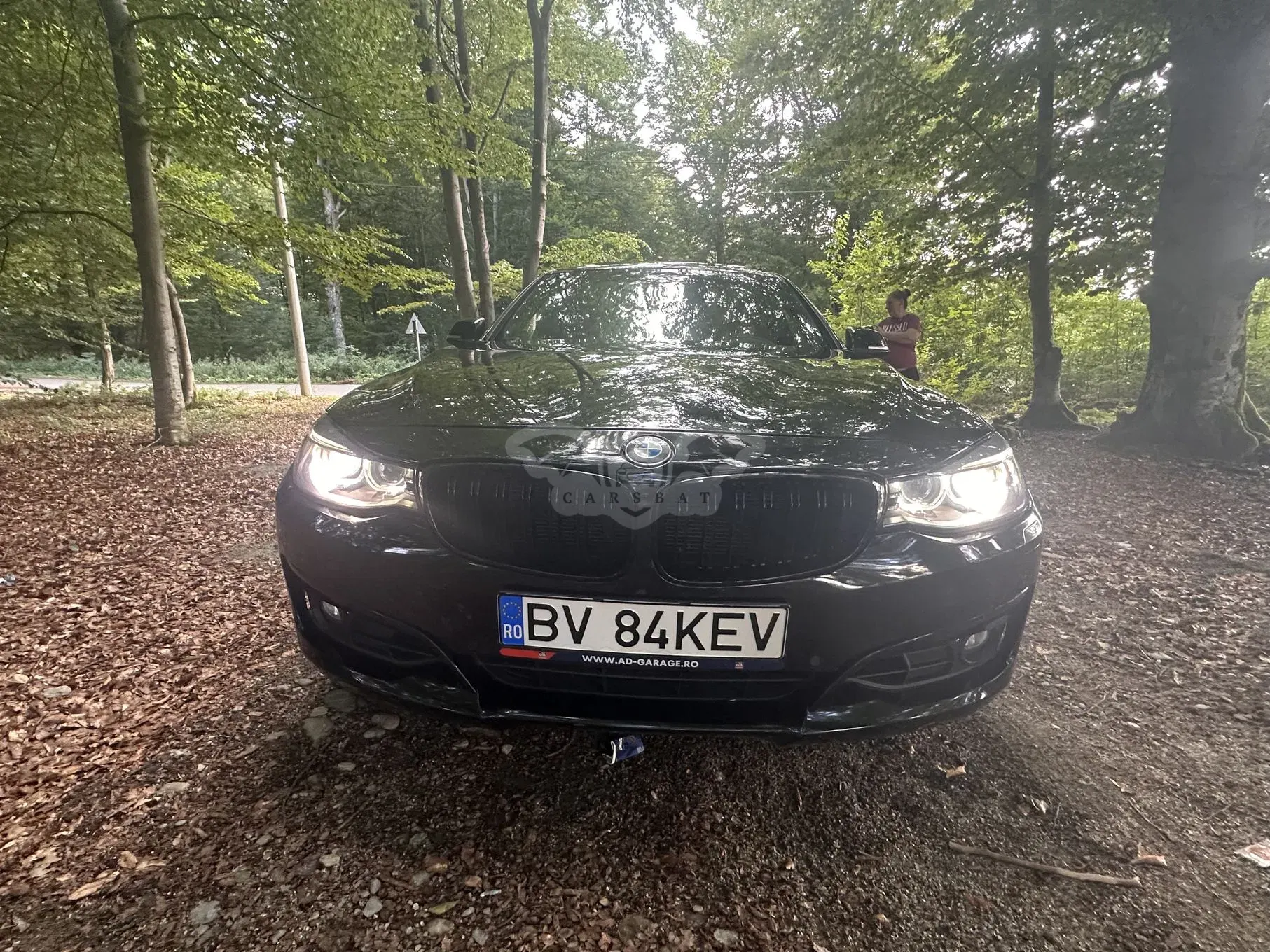 BMW 3 Series F30/F31/F34 [2011 - 2019] 328i xDrive AT Luxury Line 2015