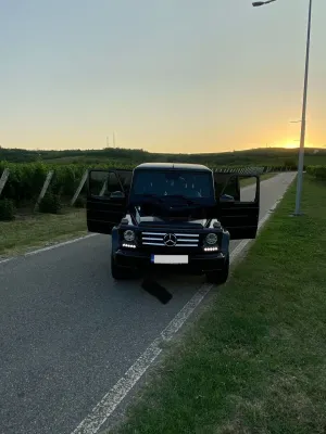 Mercedes-Benz G W463 [1989 - 2018] 350 d SW Long 2017