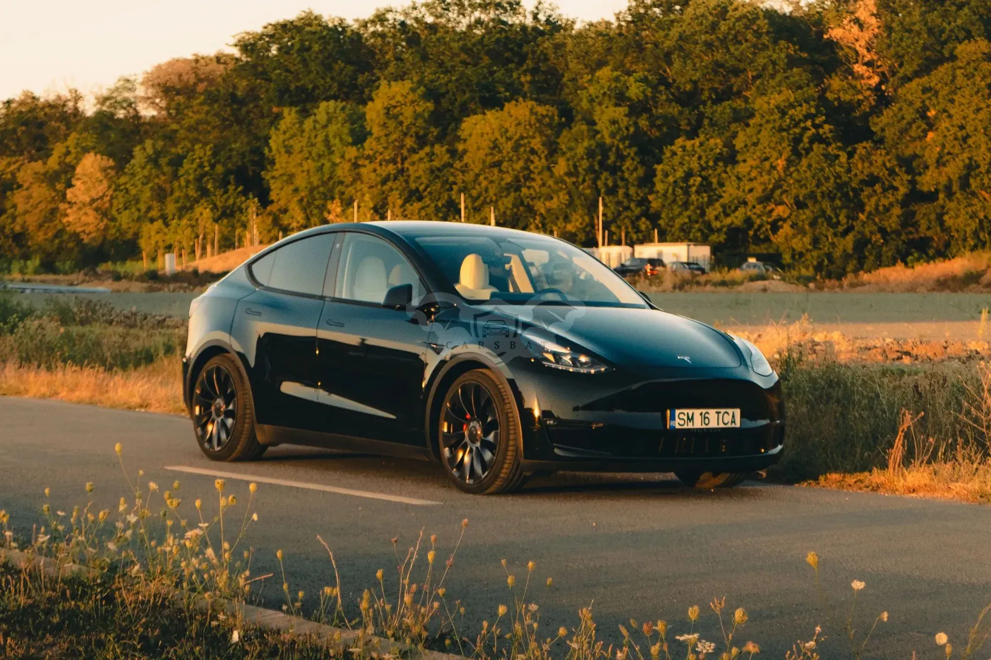 Tesla Model Y AWD Performance 2023