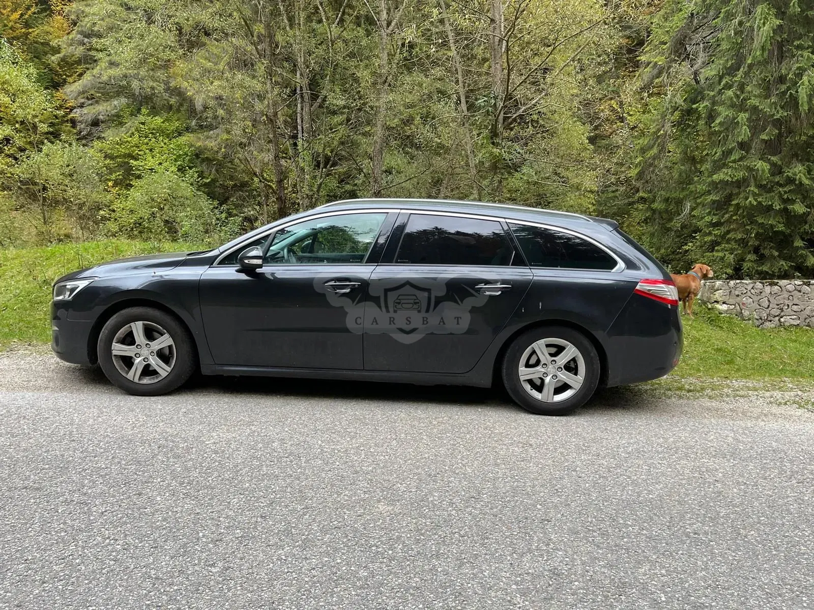 Peugeot 508 II [2018 - Prezent] 1.6 BlueHDI FAP STT EAT6 Active 2017