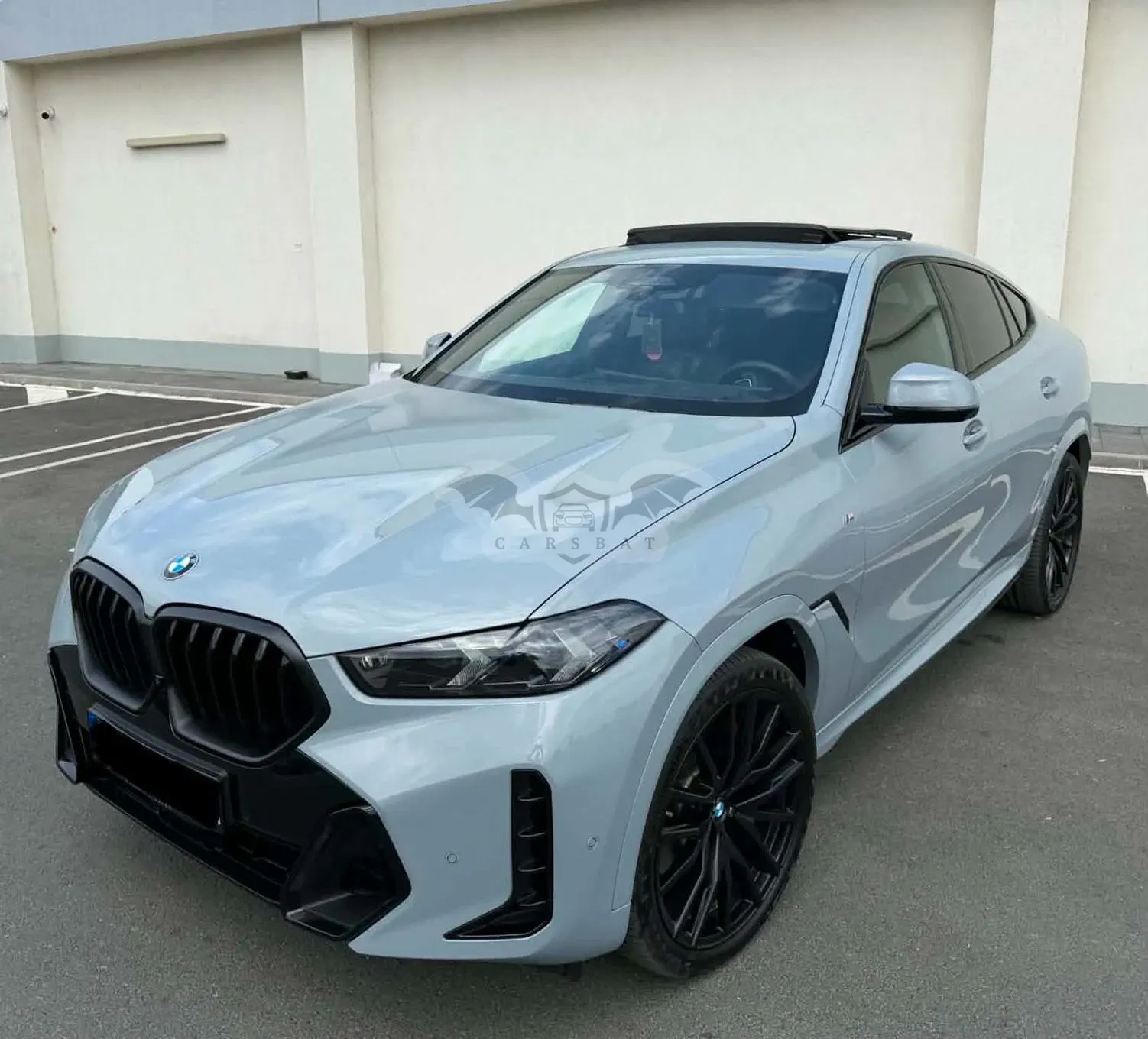 BMW X6 G06 [2019 - Prezent] xDrive30d AT MHEV 2025