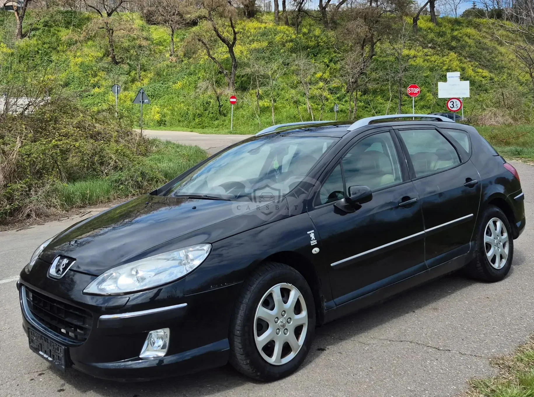 Peugeot 407 HDi 135 Automatik Platinum 2005