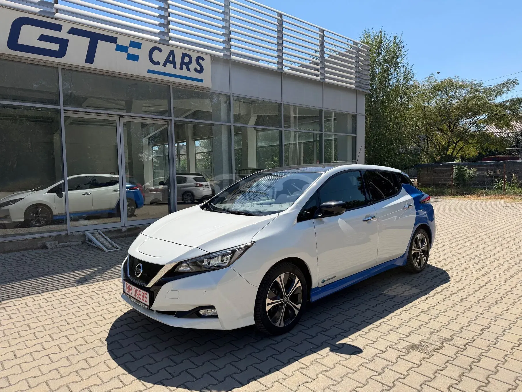 Nissan Leaf II [2017 - Prezent] 2018