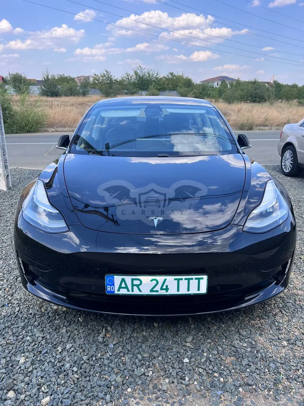 Tesla Model 3 Standard 2020