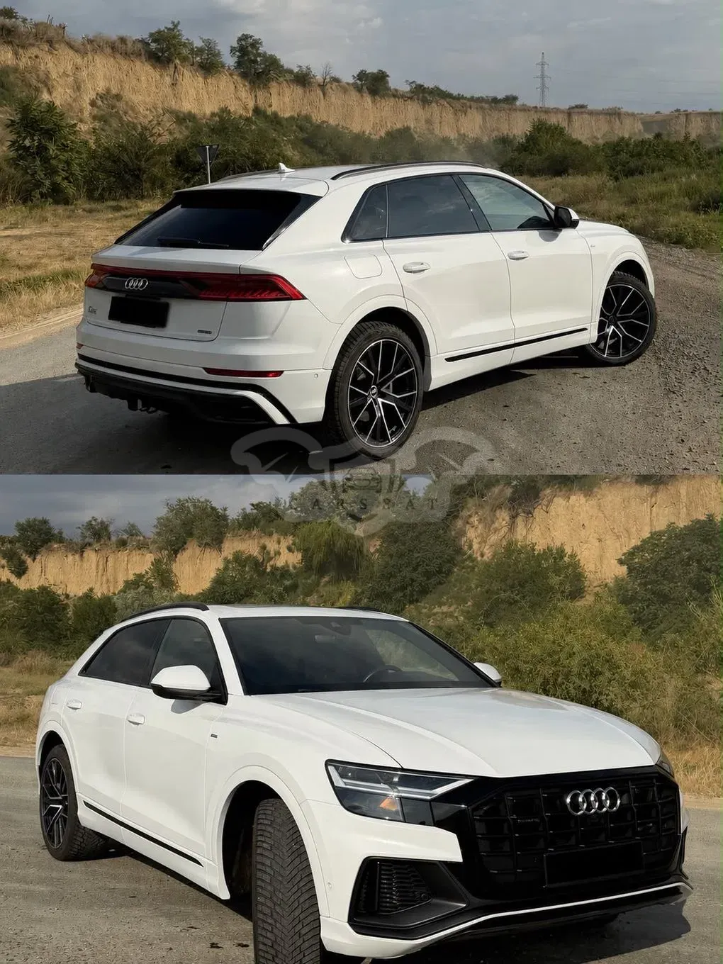 Audi Q8 3.0 55 TFSI quattro Tiptronic MHEV 2021