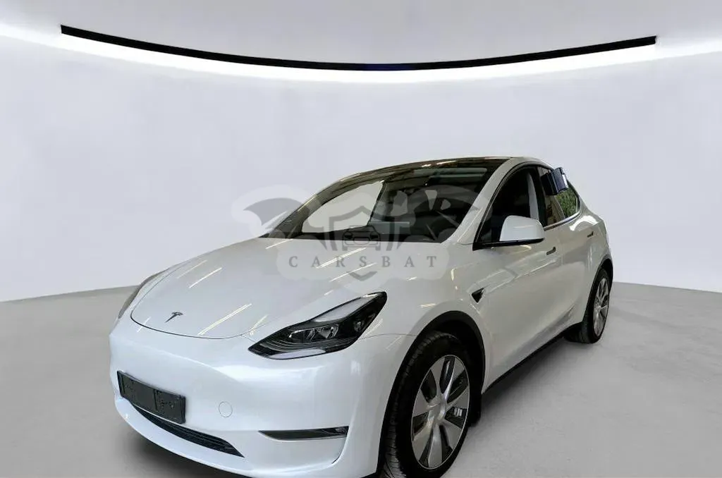 Tesla Model Y Long Range Dual Motor AWD 2023