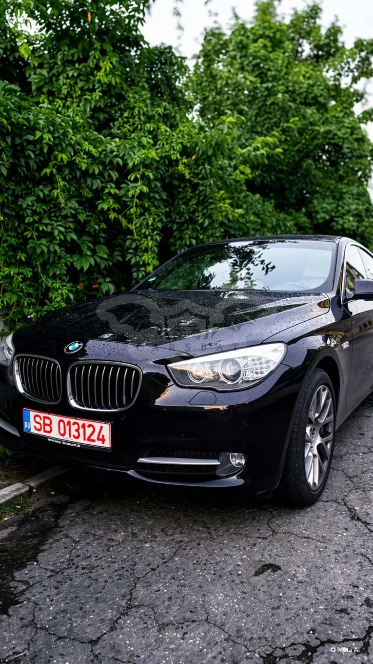 Bmw Alpina 2010