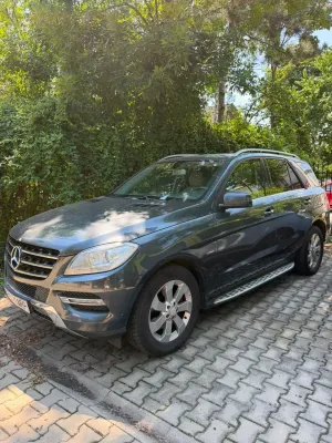 Mercedes-Benz ML W166 [2011 - 2015] 250 BlueTEC 4MATIC Aut 2012