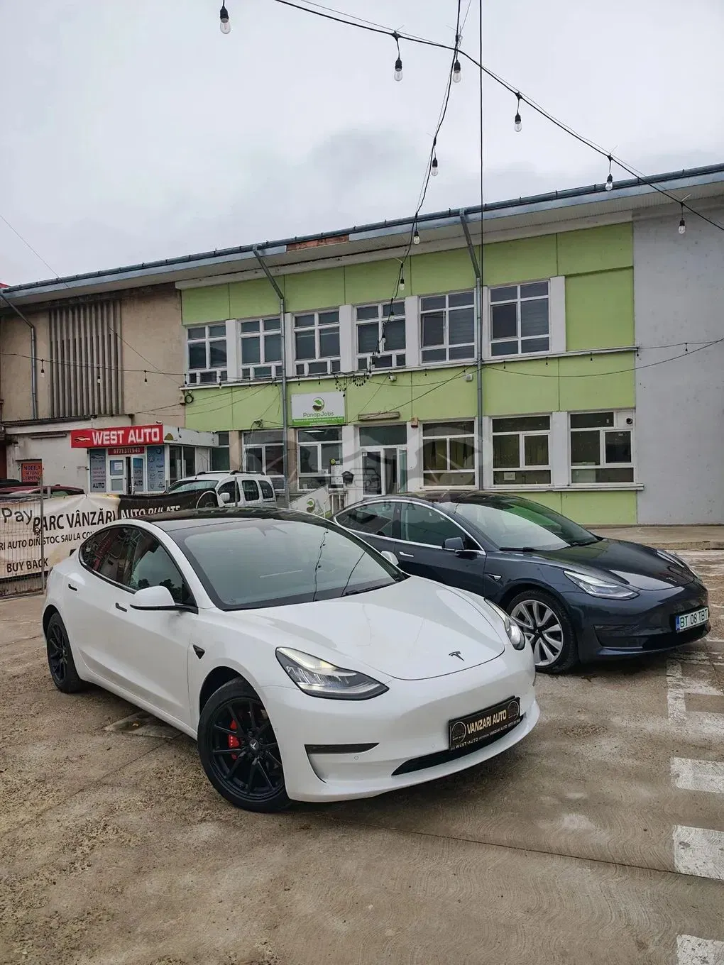 Tesla Model 3 2019