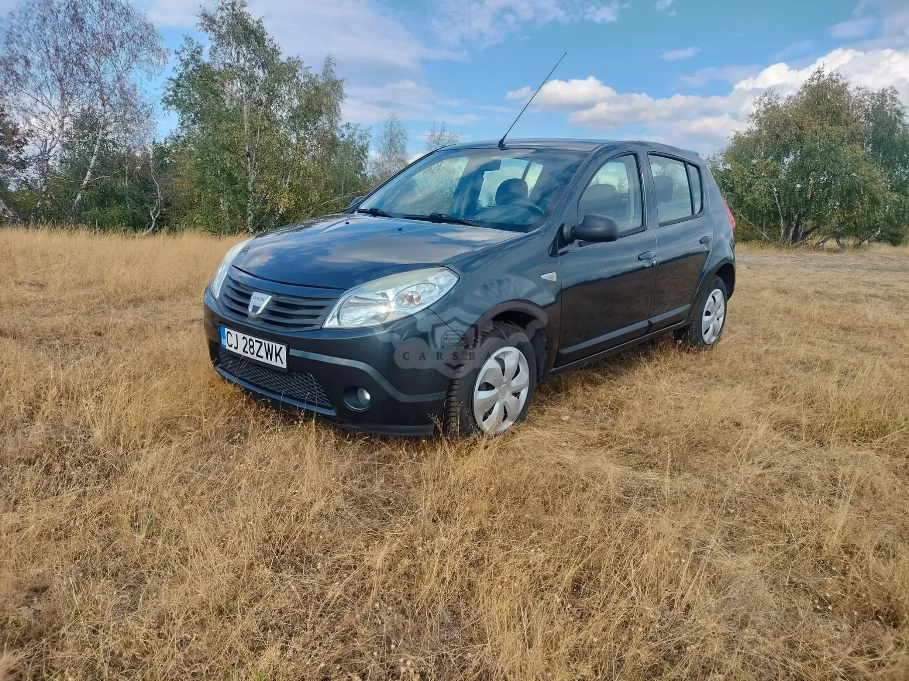 Dacia Sandero I [2008 - 2012] 1.2 16V 2009