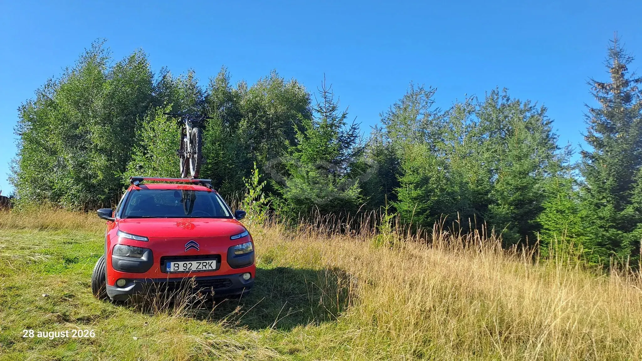 Citroën C4 Cactus BlueHDi BVM ETG6 Shine 2016