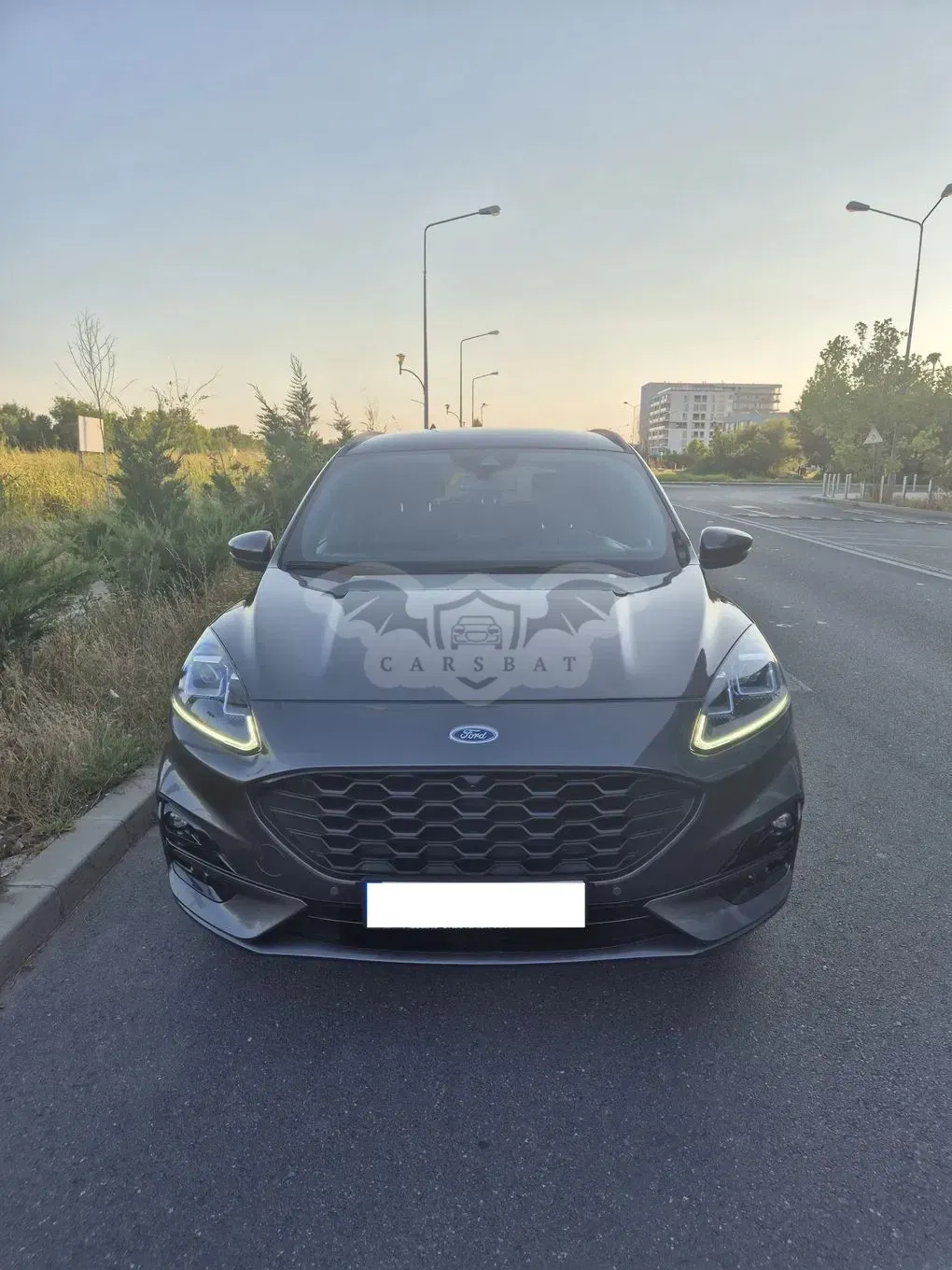 Ford Kuga III [2019 - Prezent] 2.0 EcoBlue A8 AWD ST Line X 2020