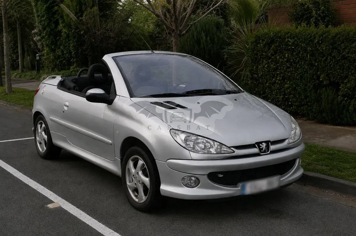 Peugeot 206 2.0E S16 2001