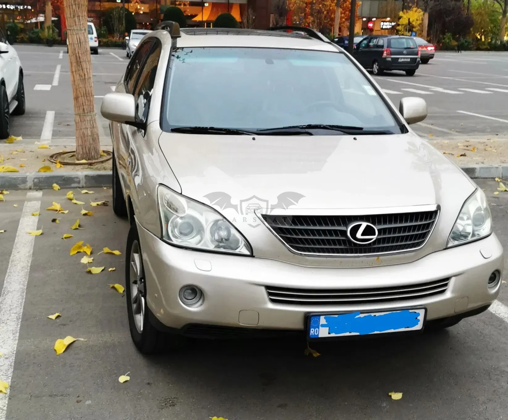 Lexus RX 2005