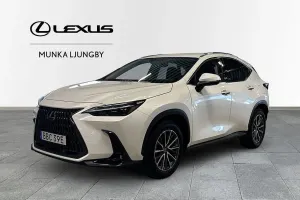 Lexus NX 2024